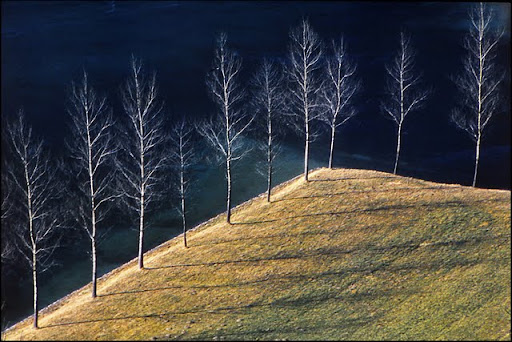Obrežje (1976)